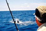 Some of the best deep sea fishing in the world is in Costa Rica.